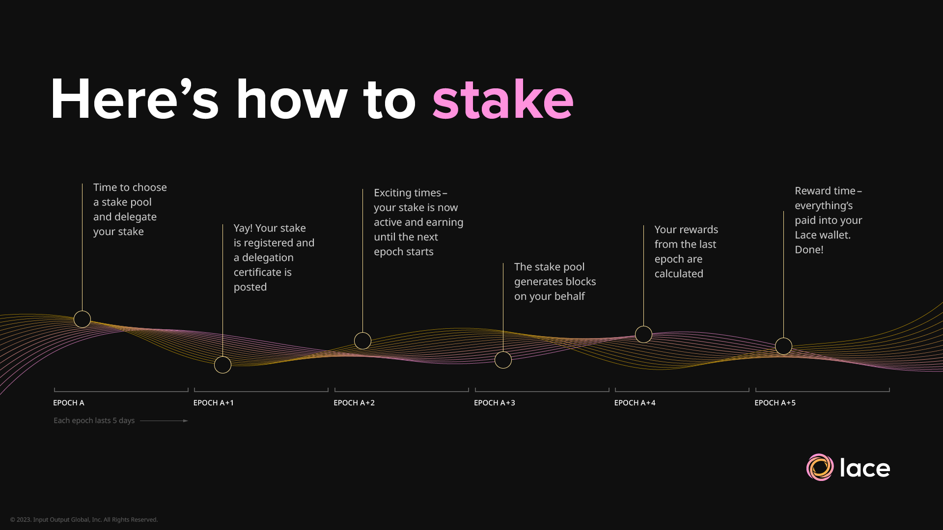 how to stake infographic